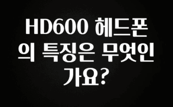 꼭 써야하는 HD600 헤드폰의 특징은 무엇인가요? 꼭 확인해보세요