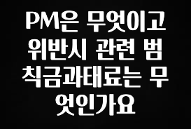 정성을 다하는 PM은 무엇이고 위반시 관련 범칙금과태료는 무엇인가요 리뷰가 많습니다