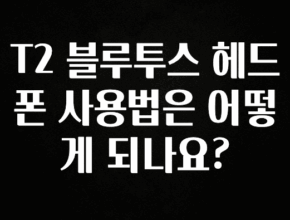 MZ세대 “주목” T2 블루투스 헤드폰 사용법은 어떻게 되나요? 정직하게 소개해보겠습니다