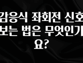 모두가 궁금했던 감응식 좌회전 신호 보는 법은 무엇인가요? 정직하게 소개해보겠습니다