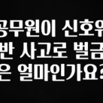 공감주의 공무원이 신호위반 사고로 벌금은 얼마인가요? 확인 부탁드립니다