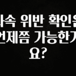 시간이 없다? 과속 위반 확인은 언제쯤 가능한가요? 꼭 알아두세요