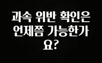 시간이 없다? 과속 위반 확인은 언제쯤 가능한가요? 꼭 알아두세요