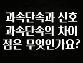 인플루언서가 공개한 과속단속과 신호과속단속의 차이점은 무엇인가요? 요약본만 확인해보세요
