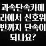 정성을 담은 과속단속카메라에서 신호위반까지 단속이 되나요? 궁금하시죠?
