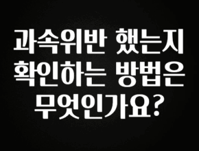 정성을 다하는 과속위반 했는지 확인하는 방법은 무엇인가요? 업데이트된 소식입니다