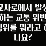 이번 선물은 꼭 교차로에서 발생하는 교통 위반 행위를 뭐라고 하나요? 지금떳다