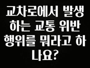 이번 선물은 꼭 교차로에서 발생하는 교통 위반 행위를 뭐라고 하나요? 지금떳다