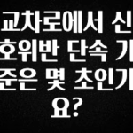 기다렸던 정보 교차로에서 신호위반 단속 기준은 몇 초인가요? 확인 부탁드립니다