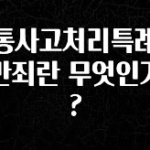 안보면 손해인 이유? 교통사고처리특례법위반죄란 무엇인가요? 요약정리