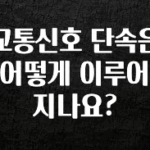 시간이 없다? 교통신호 단속은 어떻게 이루어 지나요? 지금떳다