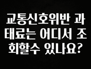 대박인 증거 교통신호위반 과태료는 어디서 조회할수 있나요? 확인 부탁드립니다