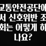 가성비 좋은 교통안전공단에서 신호위반 조회는 어떻게 하나요? 클릭해보세요