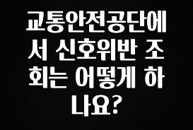 가성비 좋은 교통안전공단에서 신호위반 조회는 어떻게 하나요? 클릭해보세요