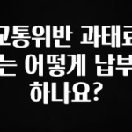 이달의 핫 교통위반 과태료는 어떻게 납부하나요? 확인 부탁드립니다