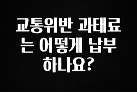 이달의 핫 교통위반 과태료는 어떻게 납부하나요? 확인 부탁드립니다
