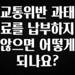 안보면 손해인 이유? 교통위반 과태료를 납부하지 않으면 어떻게 되나요? 궁금하신가요?