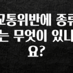 별다섯개 교통위반에 종류는 무엇이 있나요? 30초면 확인 가능합니다