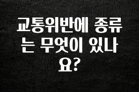 별다섯개 교통위반에 종류는 무엇이 있나요? 30초면 확인 가능합니다