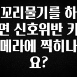 사실 찐정보는 꼬리물기를 하면 신호위반 카메라에 찍히나요? 바로 소개합니다.