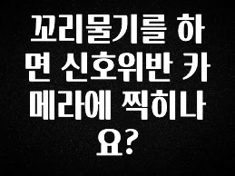 사실 찐정보는 꼬리물기를 하면 신호위반 카메라에 찍히나요? 바로 소개합니다.