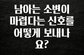 주목 남아는 소변이 마렵다는 신호를 어떻게 보내나요? 후회하지 않습니다