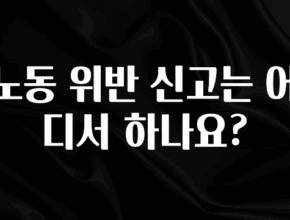 주목 노동 위반 신고는 어디서 하나요? 실사용 후기