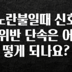요즘 반응좋은 노란불일때 신호위반 단속은 어떻게 되나요? 후회하지 않습니다