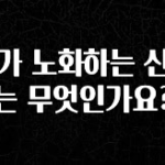 추가소식 뇌가 노화하는 신호는 무엇인가요? 지금떳다
