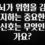 지금 바로 공개 뇌가 위험을 감지하는 중요한 신호는 무엇인가요? 꼭 알아두세요