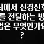 별다섯개 뇌에서 신경신호를 전달하는 방법은 무엇인가요? 관심이 뜨겁습니다