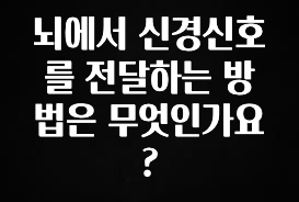 별다섯개 뇌에서 신경신호를 전달하는 방법은 무엇인가요? 관심이 뜨겁습니다