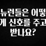 베스트 뉴런들은 어떻게 신호를 주고 받나요? 무조건 확인