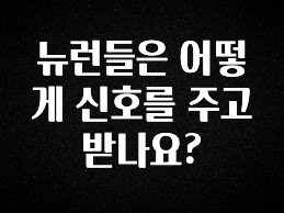 베스트 뉴런들은 어떻게 신호를 주고 받나요? 무조건 확인
