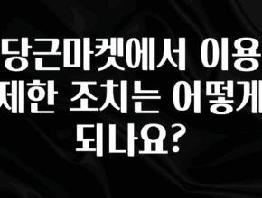 요즘 “다” 여기서 한대 당근마켓에서 이용제한 조치는 어떻게 되나요? 요약본만 확인해보세요