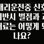 실시간 반응 터진 대리운전중 신호위반시 벌점과 과태료는 어떻게 되나요? 아주 좋은 정보입니다