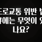 놓치지말고 도로교통 위반 법규에는 무엇이 있나요? 클릭해보세요