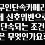 인스타 정보 무인단속카메라에 신호위반으로 단속되는 조건은 무엇인가요? 핫한 정보입니다