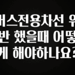 “후기” 꼭보세요 버스전용차선 위반 했을때 어떻게 해야하나요? 지금 바로 공개합니다