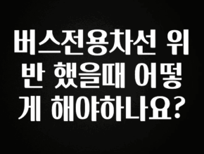 “후기” 꼭보세요 버스전용차선 위반 했을때 어떻게 해야하나요? 지금 바로 공개합니다