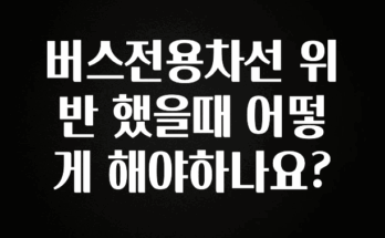 “후기” 꼭보세요 버스전용차선 위반 했을때 어떻게 해야하나요? 지금 바로 공개합니다