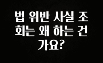 추가소식은 꼭 확인하자 법 위반 사실 조회는 왜 하는 건가요? 요약본만 확인해보세요
