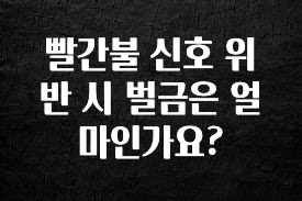 요즘 이게 유행 빨간불 신호 위반 시 벌금은 얼마인가요? 지금 소개할게요