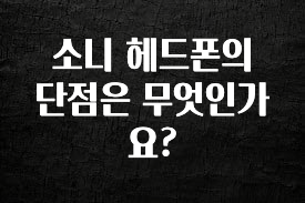 역대급 라인업 소니 헤드폰의 단점은 무엇인가요? 아주 좋은 정보입니다