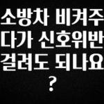 엄마아빠가 좋아하는 소방차 비켜주다가 신호위반 걸려도 되나요? 요약정리