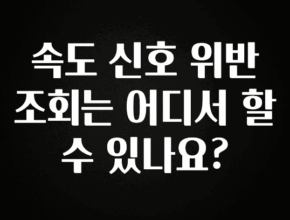 가성비 정보 속도 신호 위반 조회는 어디서 할수 있나요? 궁금하신가요?
