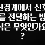 “꼭”저장해두세요 신경계에서 신호를 전달하는 방식은 무엇인가요? 리뷰가 많습니다