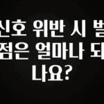 혜자소식 떳다 신호 위반 시 벌점은 얼마나 되나요? 확인하시죠
