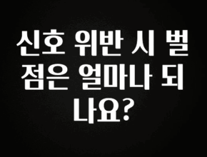 혜자소식 떳다 신호 위반 시 벌점은 얼마나 되나요? 확인하시죠