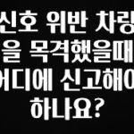 요즘 찰떡인 신호 위반 차량을 목격했을때 어디에 신고해야 하나요? 한 번에 알려드립니다